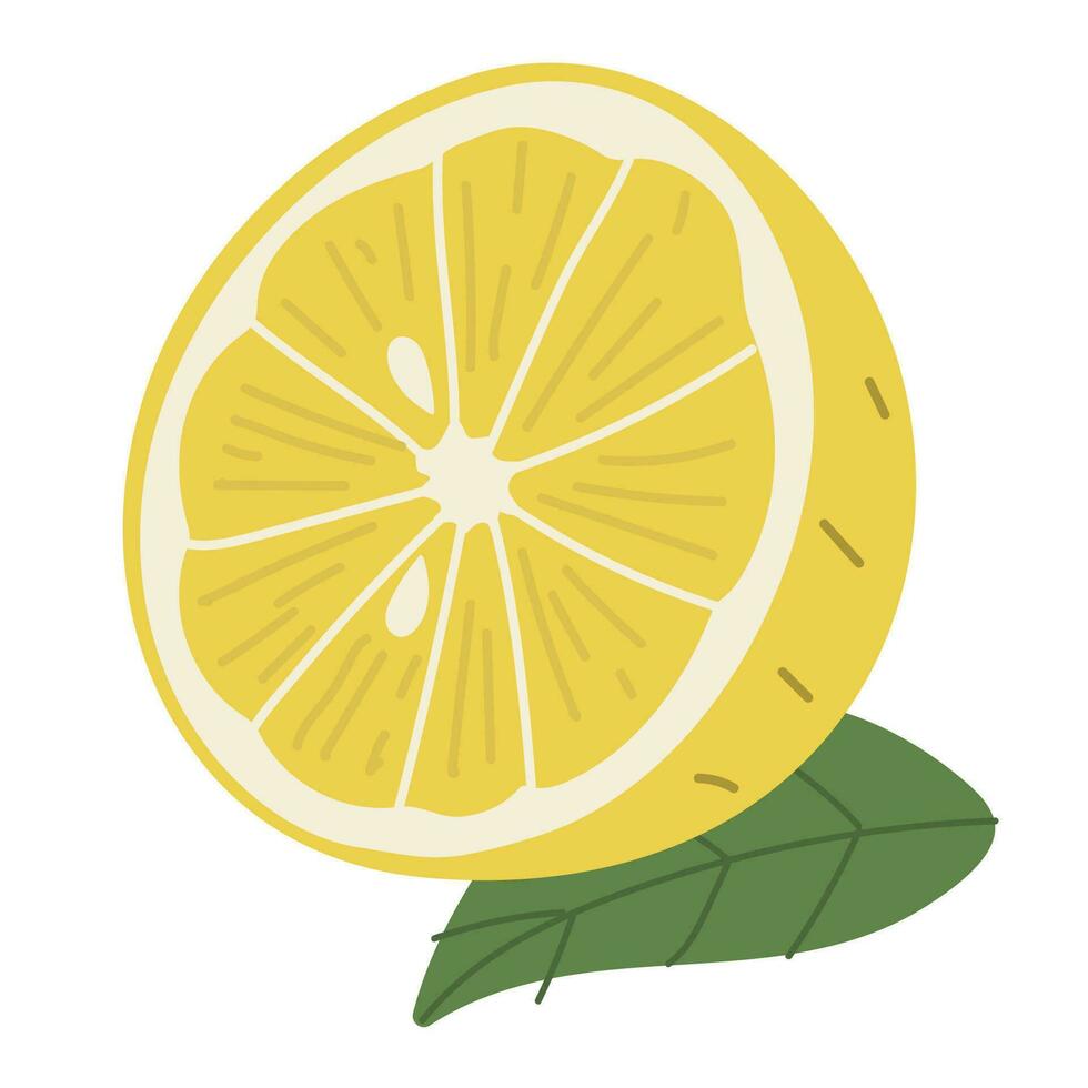 Lemon Single on a white background vector