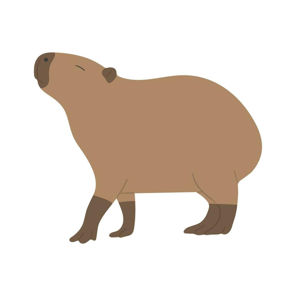Capybara single cute vector