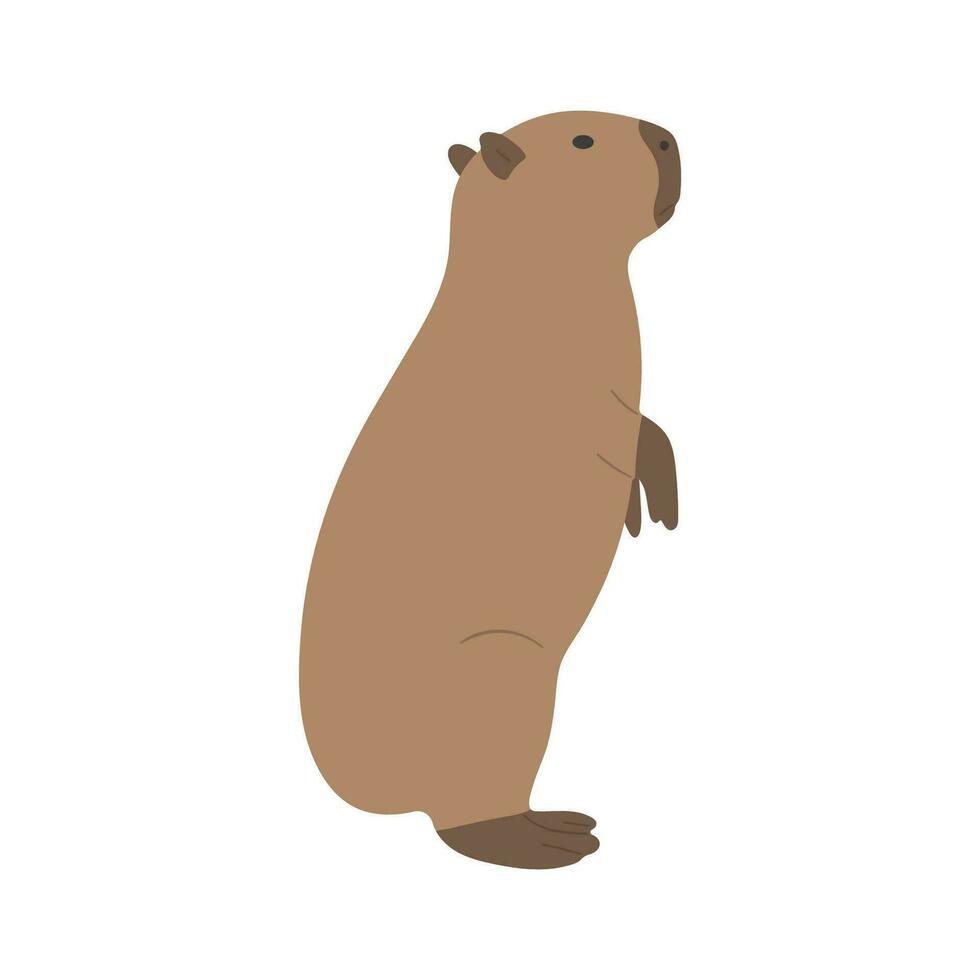 capybara vector sketch 8917850 Vector Art at Vecteezy