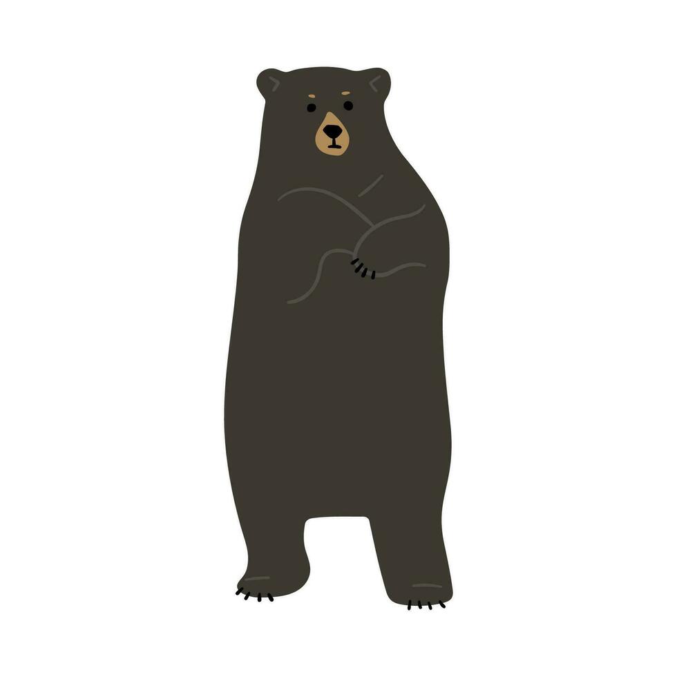American Black Bear Single vector