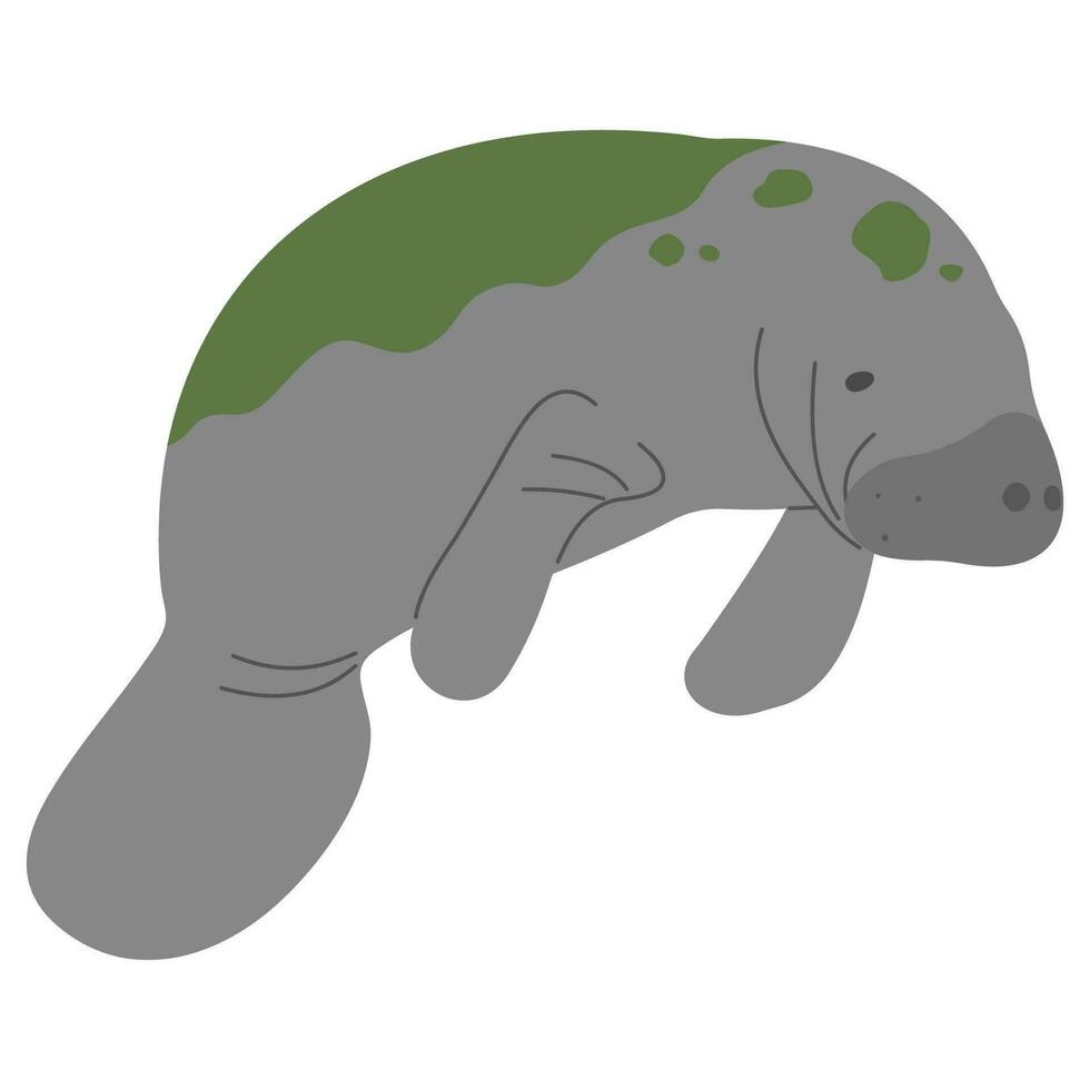 Manatee Single cute vector