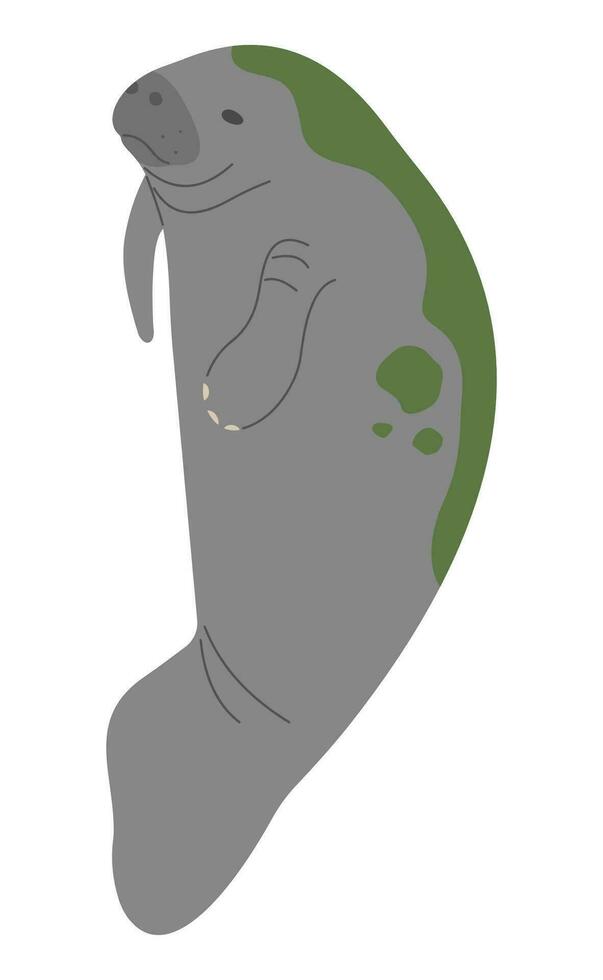 Manatee Single cute vector