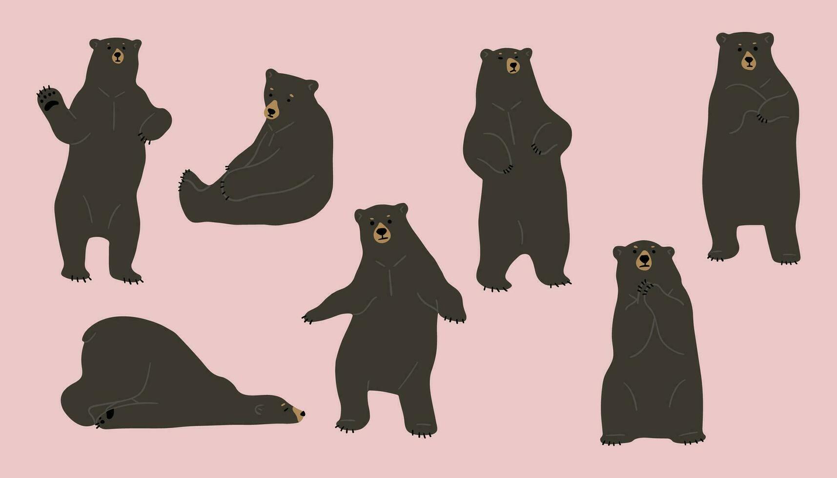 americano negro oso ilustración vector