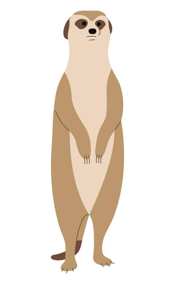 suricata soltero linda vector