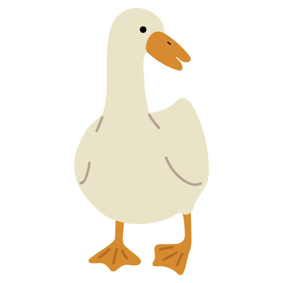 Duck White Single vector