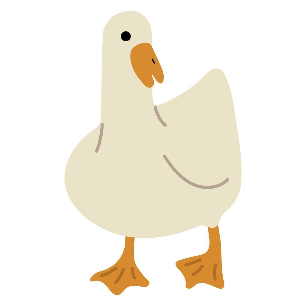 Duck White Single 2 vector