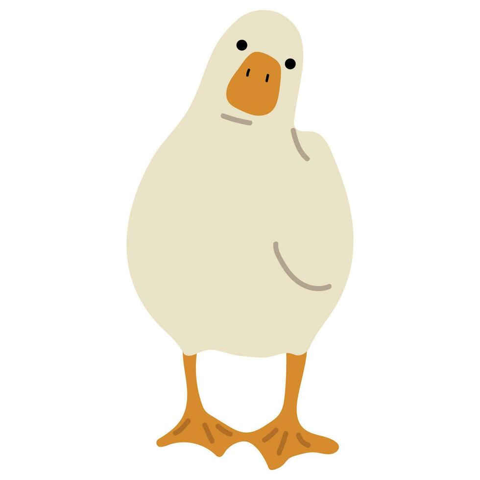 Pato blanco soltero vector