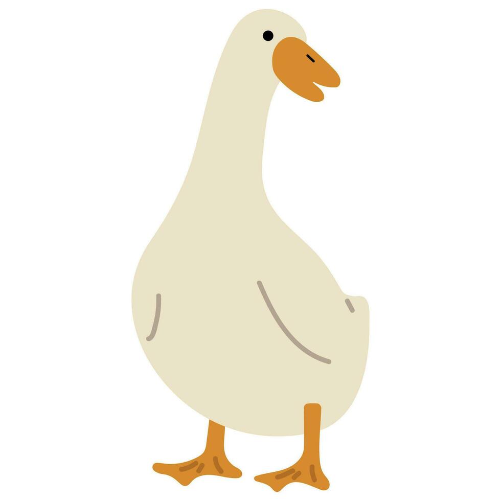 Pato blanco soltero vector