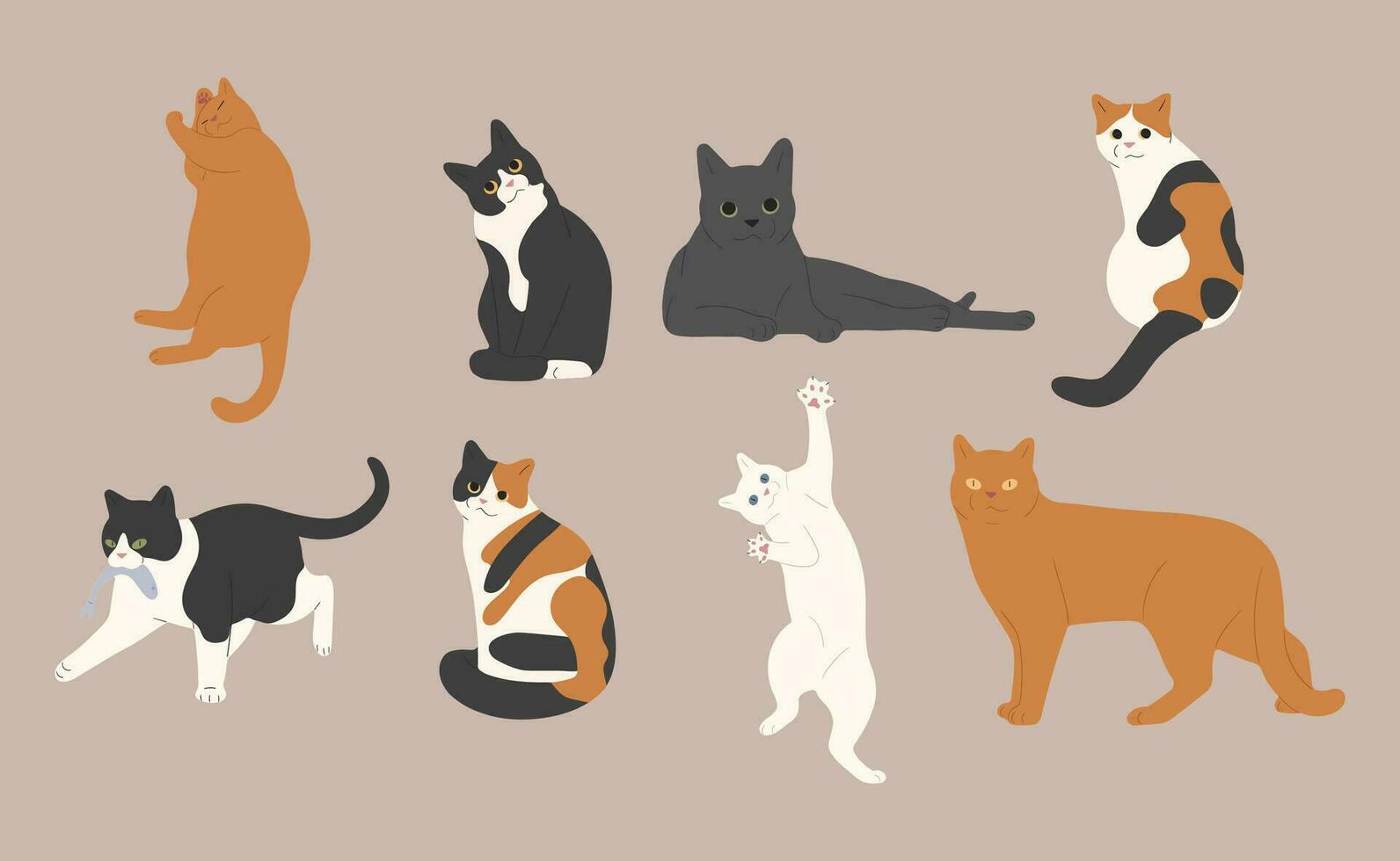 gato grupo vector