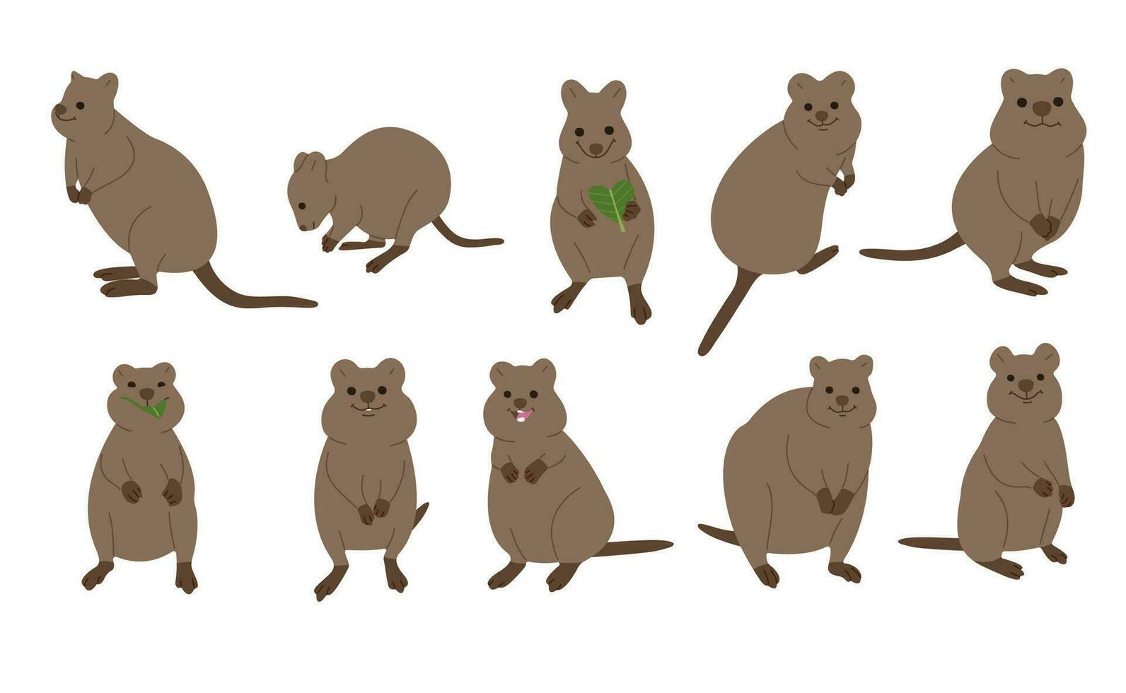 Quokka  collection cute vector