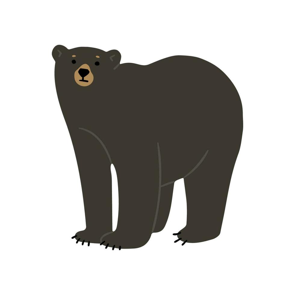 americano negro oso soltero vector