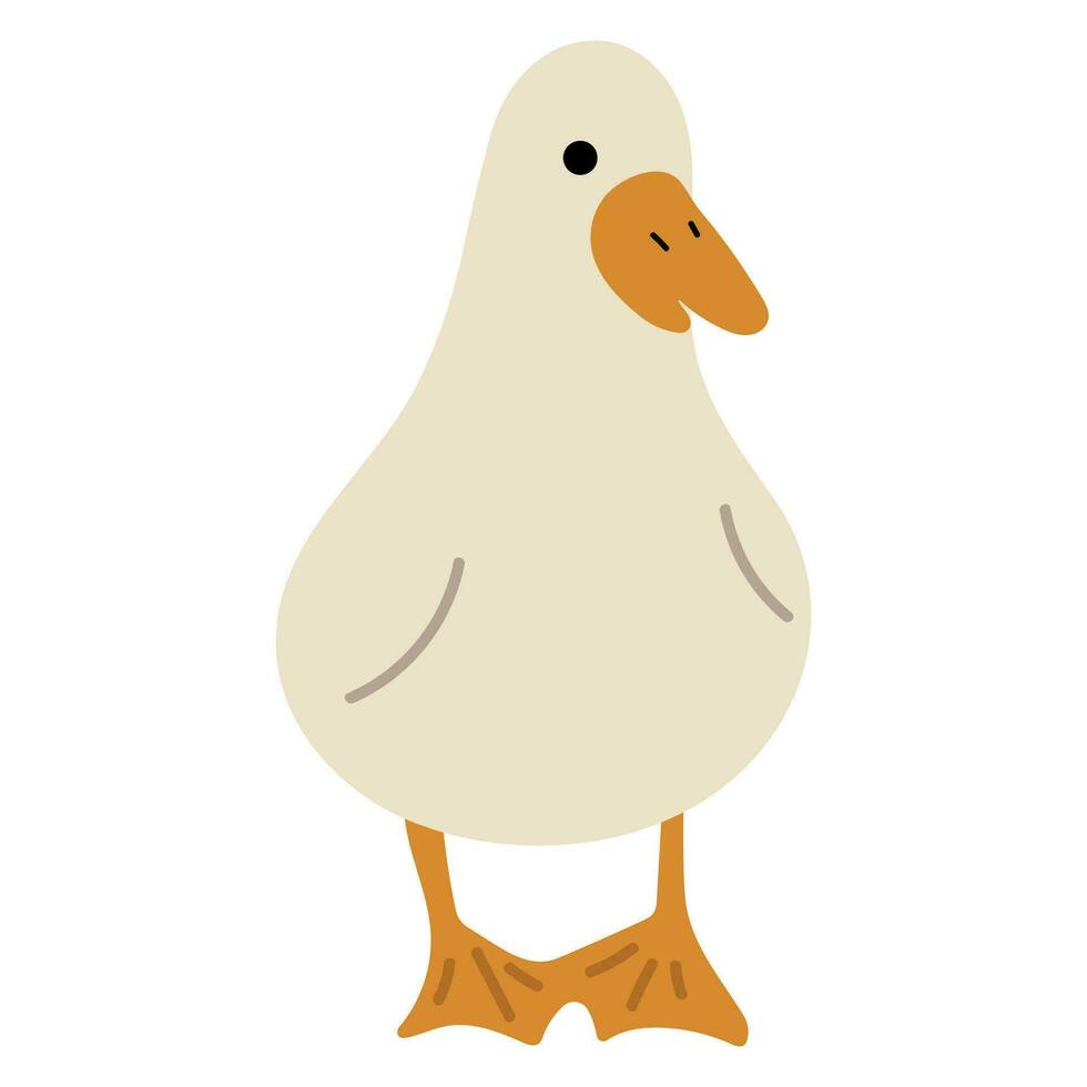 Duck White Single vector