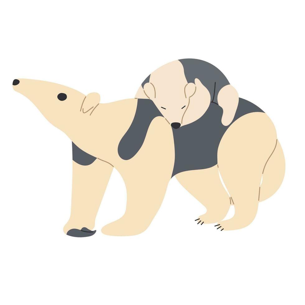 tamandua soltero linda vector