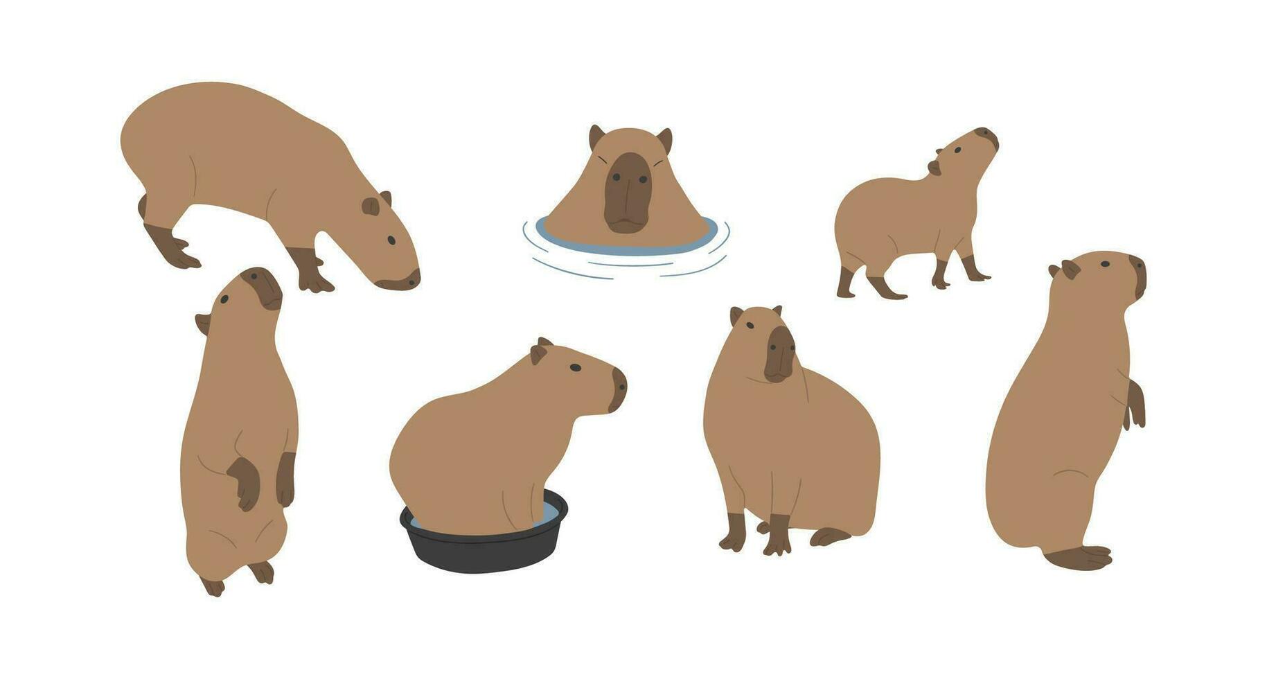 Capybara group on a white background vector