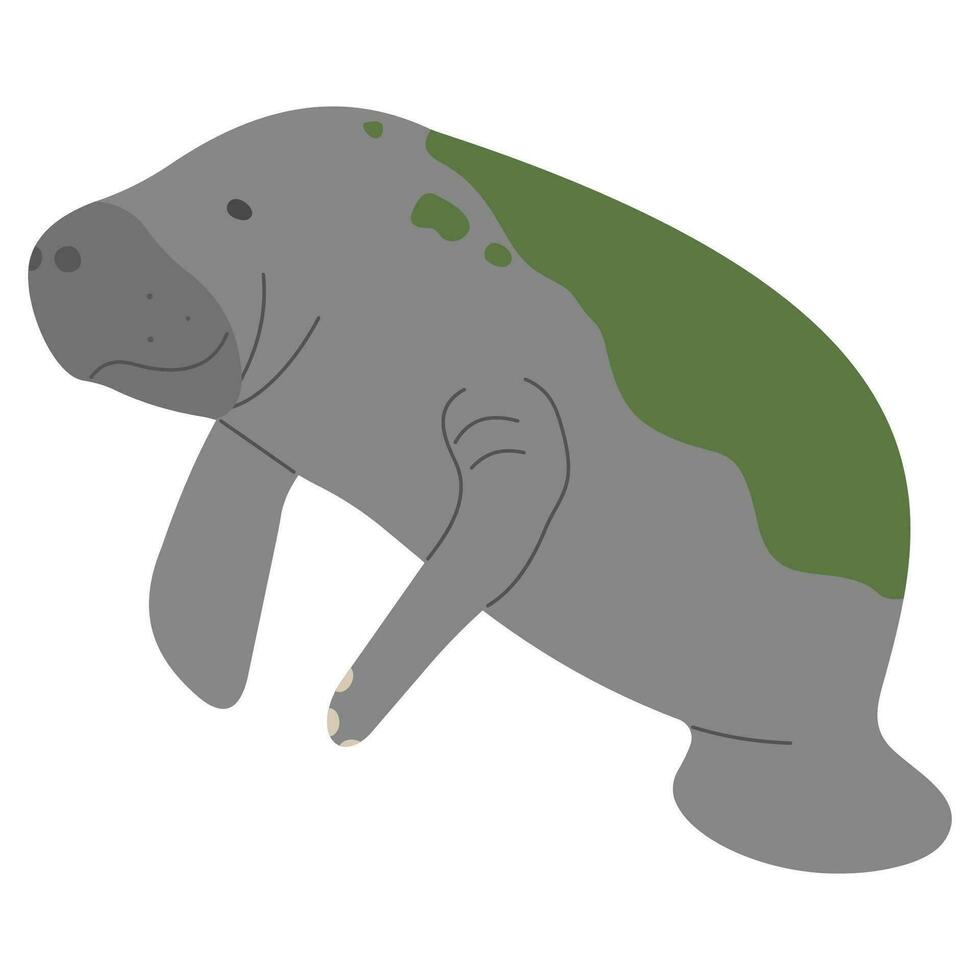 Manatee Single cute vector