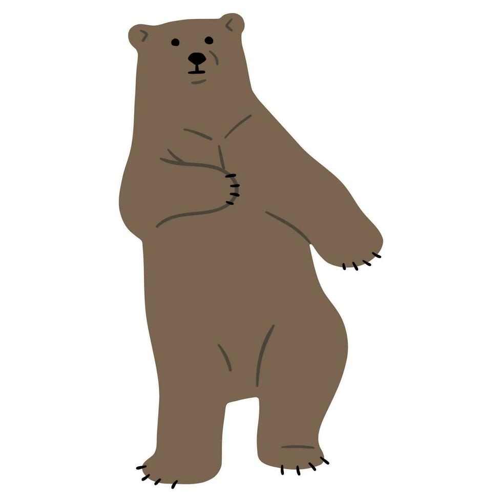 Grizzly Bear Single vector