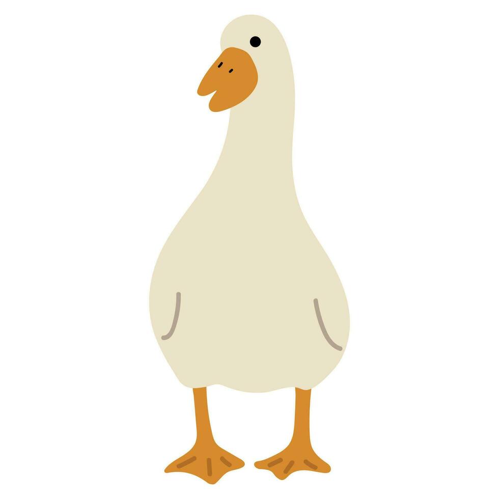 Duck White Single vector