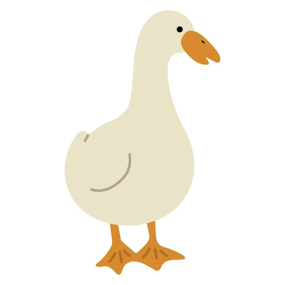 Duck White Single vector