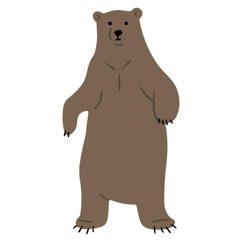 oso pardo oso soltero vector