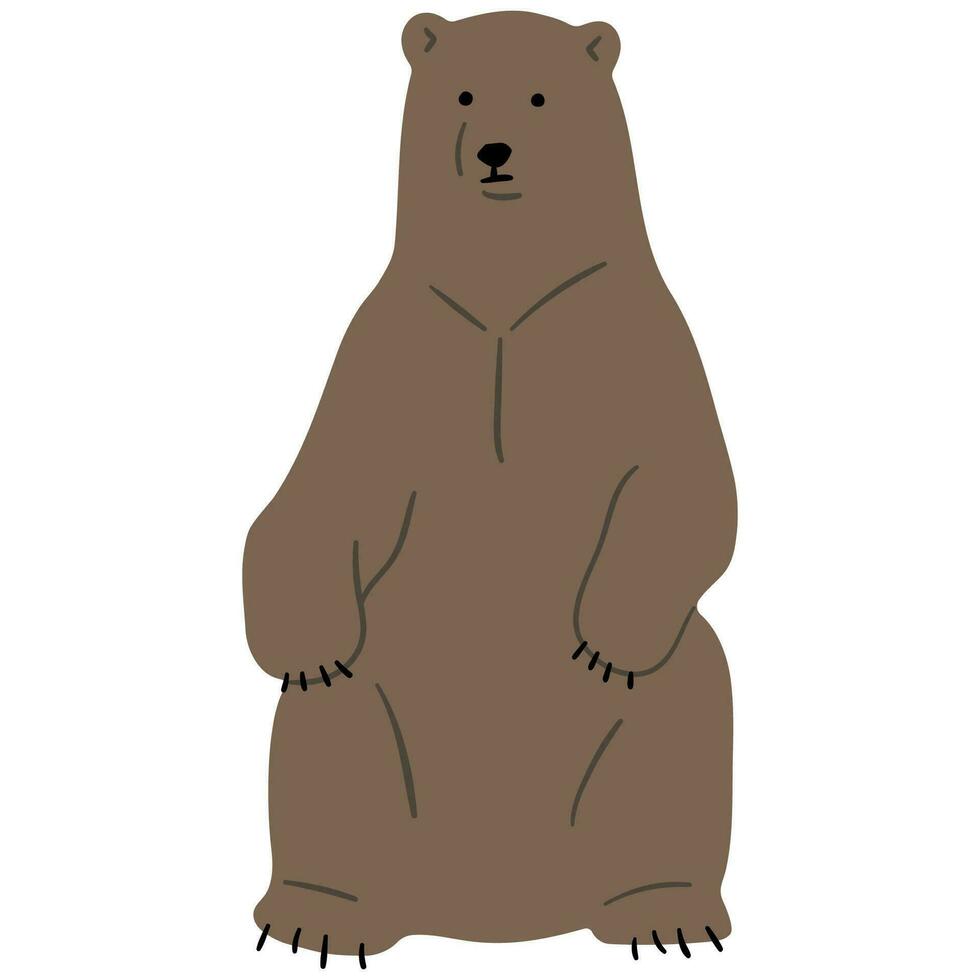 oso pardo oso soltero vector