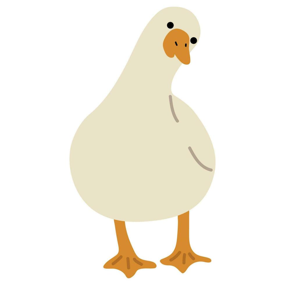 Duck White Single vector