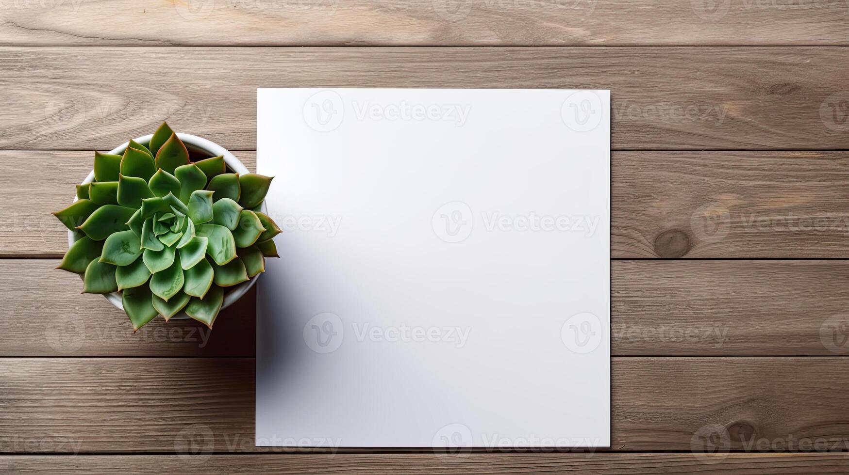 white paper sheet and succulent. Generative AI photo