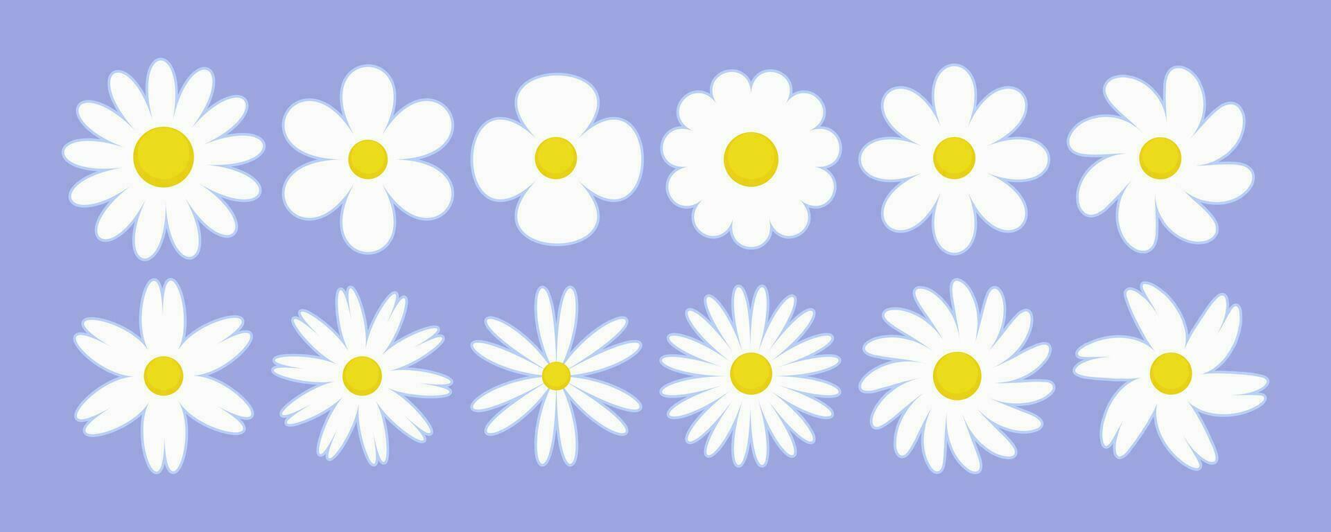 Daisy flower vector illustration. White chamomile cartoon retro design. Cute set on violet background.
