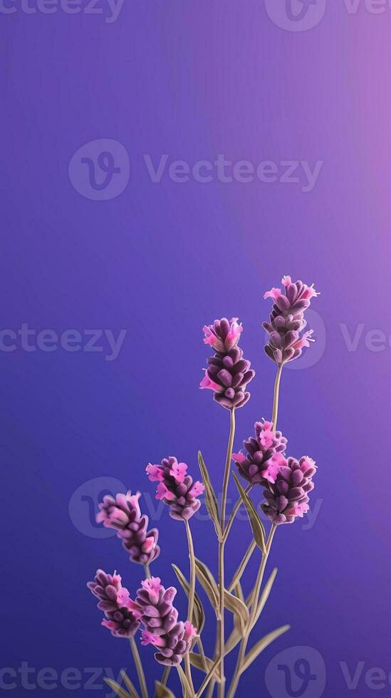 Lavender purple flower blurred background. AI Generated photo