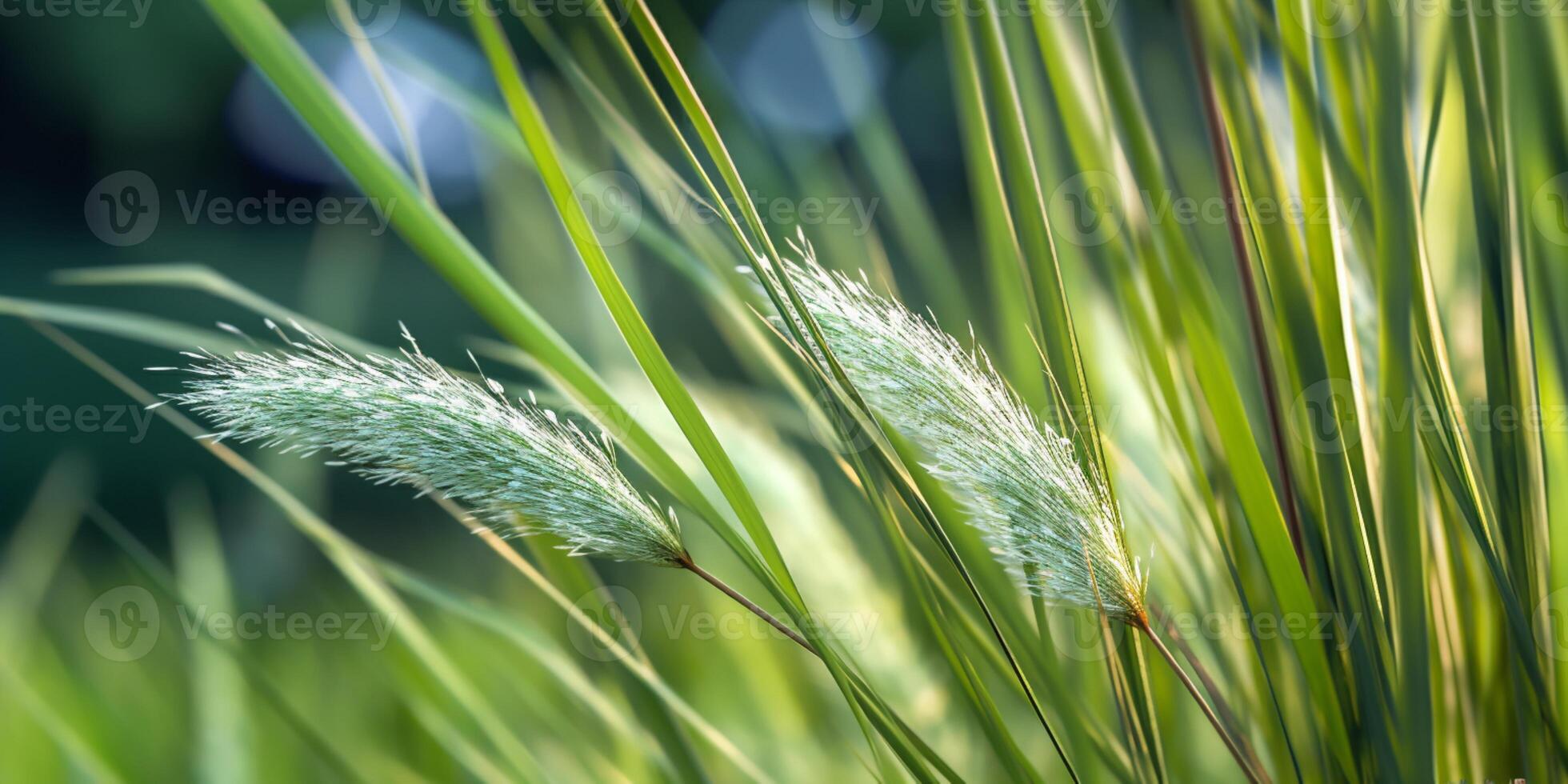 Green grass blurred wallpaper background. AI Generated photo