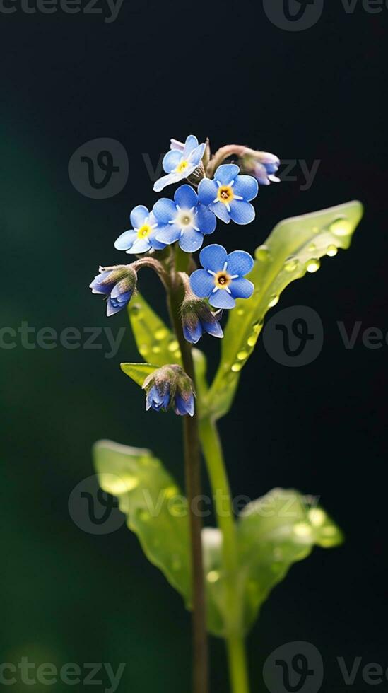 Forget me nots flower Myosotis scorpioides photo wallpaper background. AI Generated