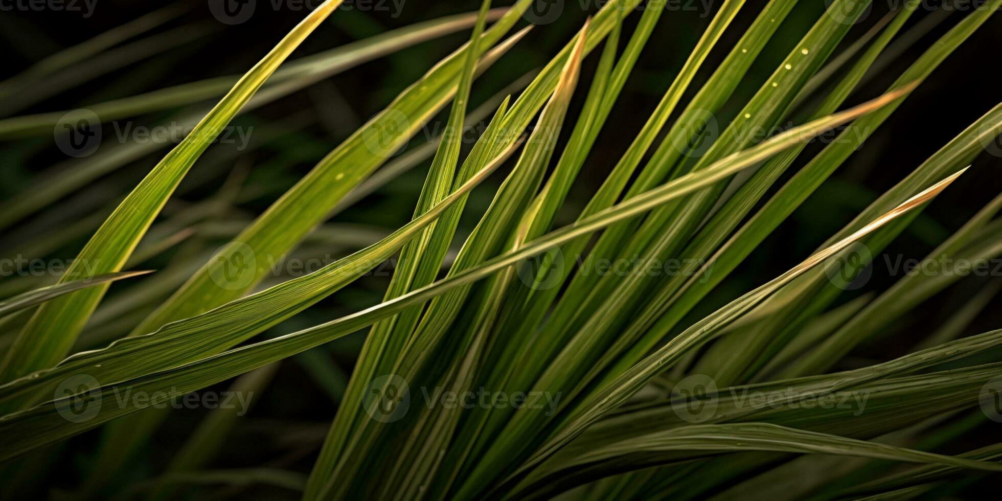 Green grass blurred wallpaper background. AI Generated photo
