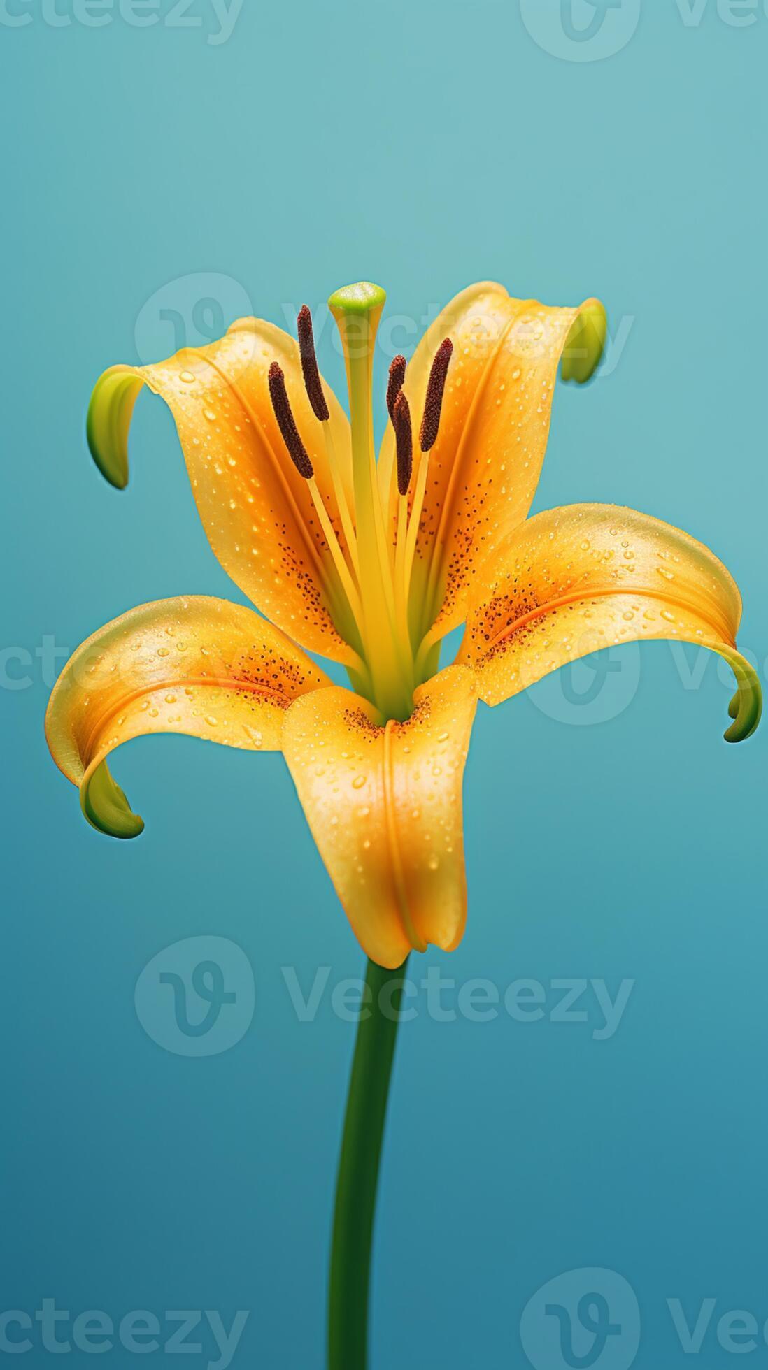 Yellow lily flower wallpaper background. AI Generated, 26182376 Stock
