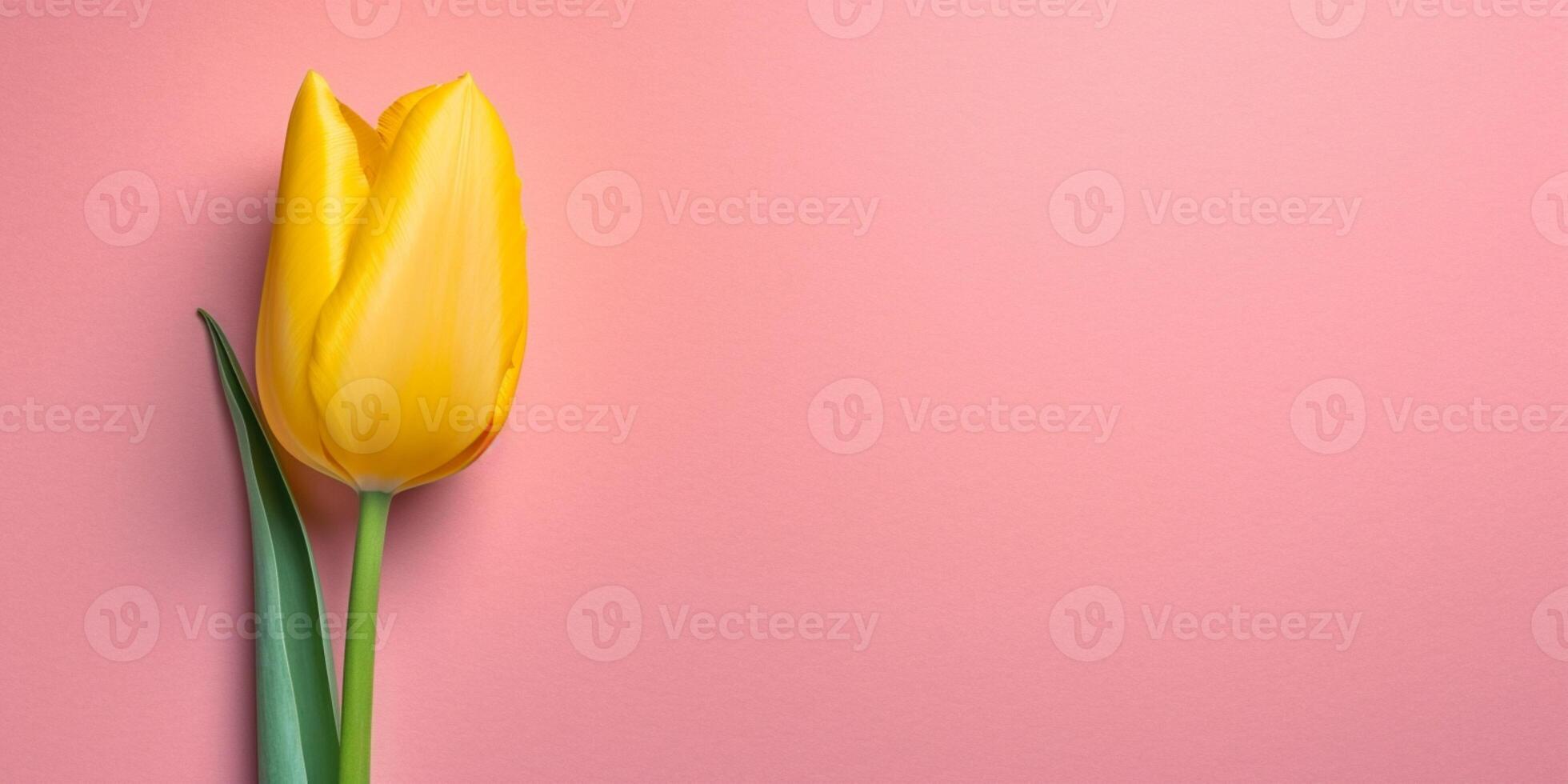 Blank paper note and flower for text copy space background photo