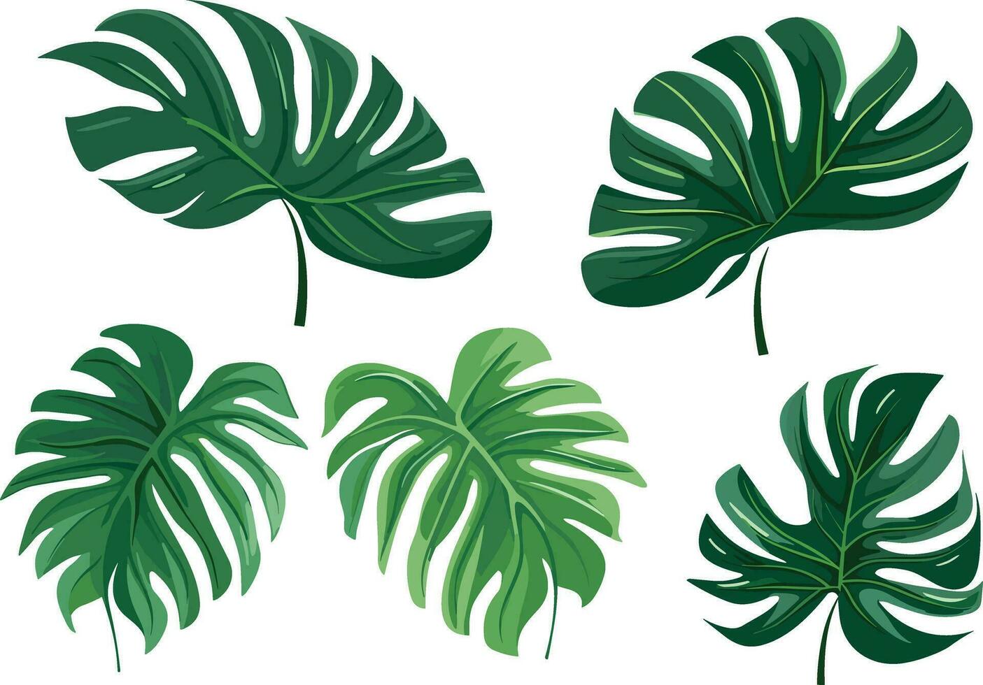 tropical leaves set vector illustration