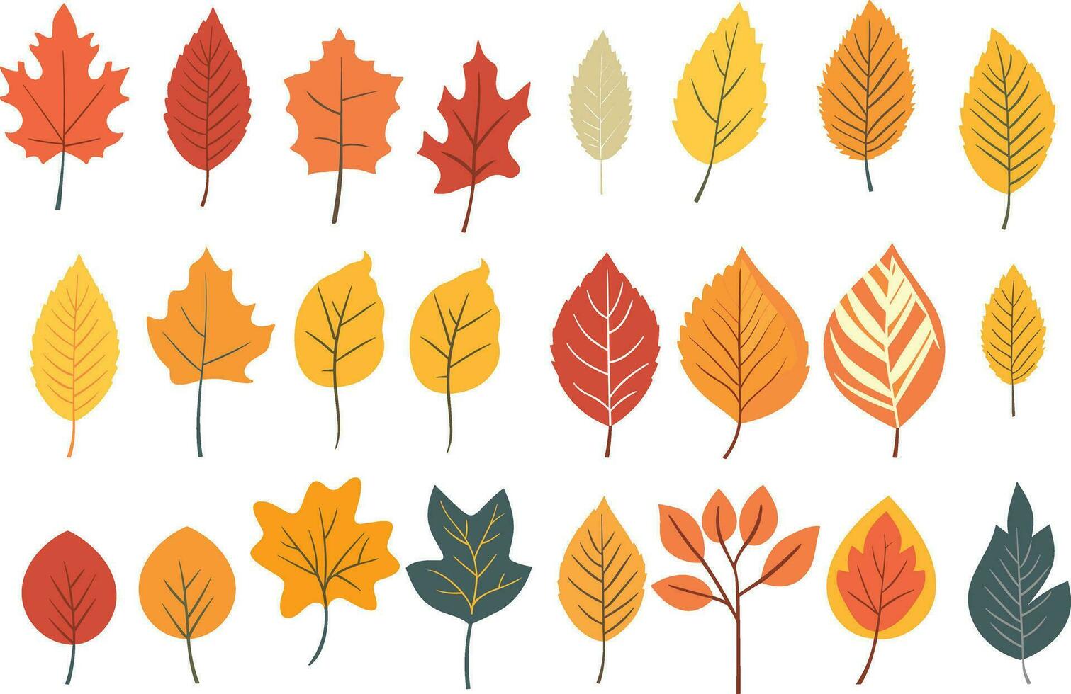 autumn leaves collection, set of leaves, leaves collection vector