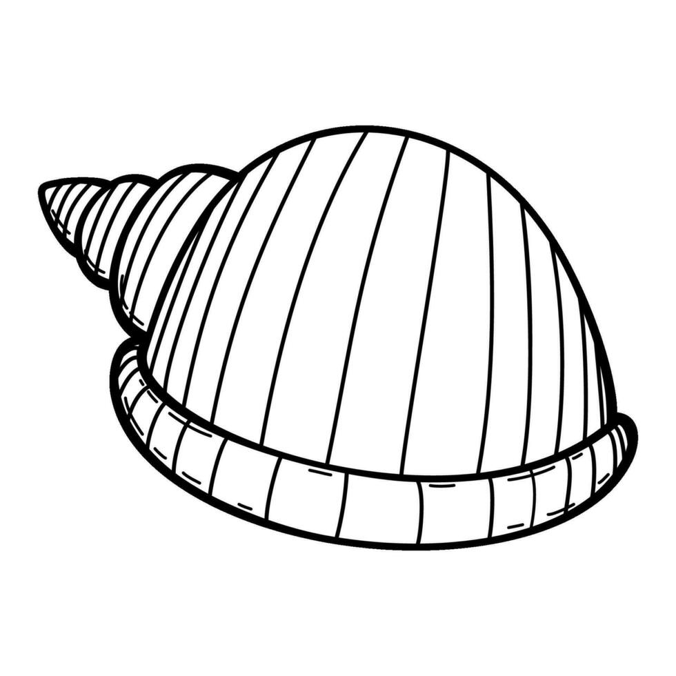 Isolated vector outline black and white seashell.