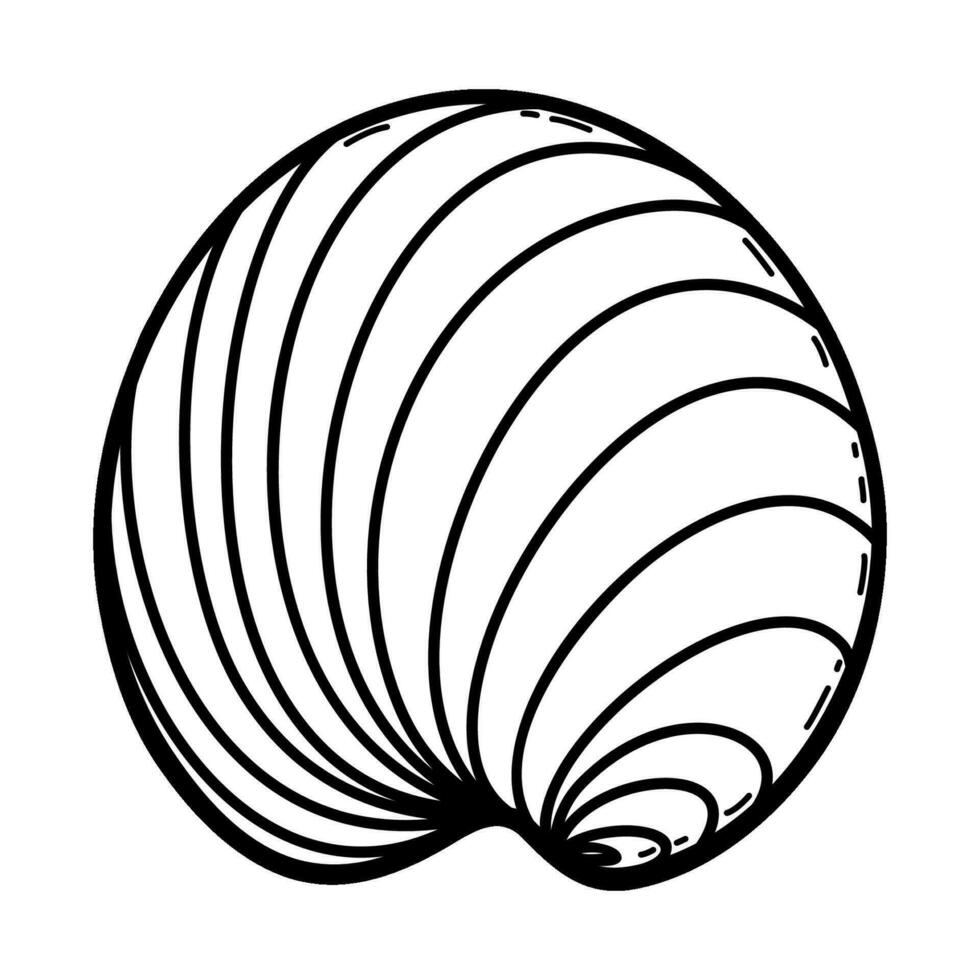 Isolated vector outline black and white seashell