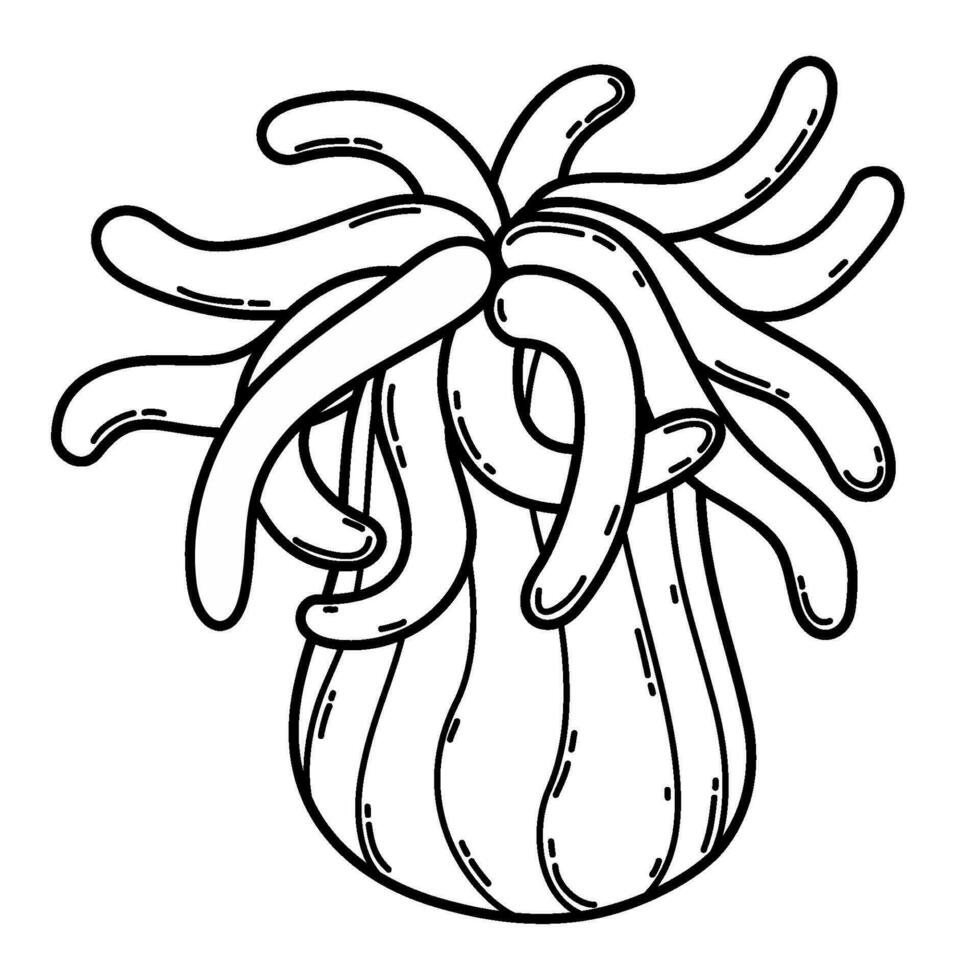 Sketch actinia. Isolated vector outline black and white sea anemone.