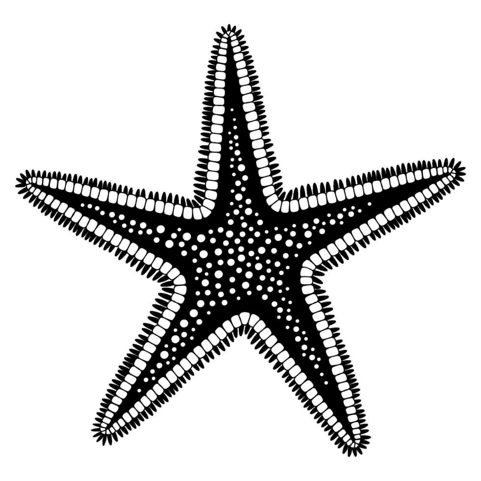 Black and white sketch of ocean starfish. Vector illustration of sea animal isolated on a white background.