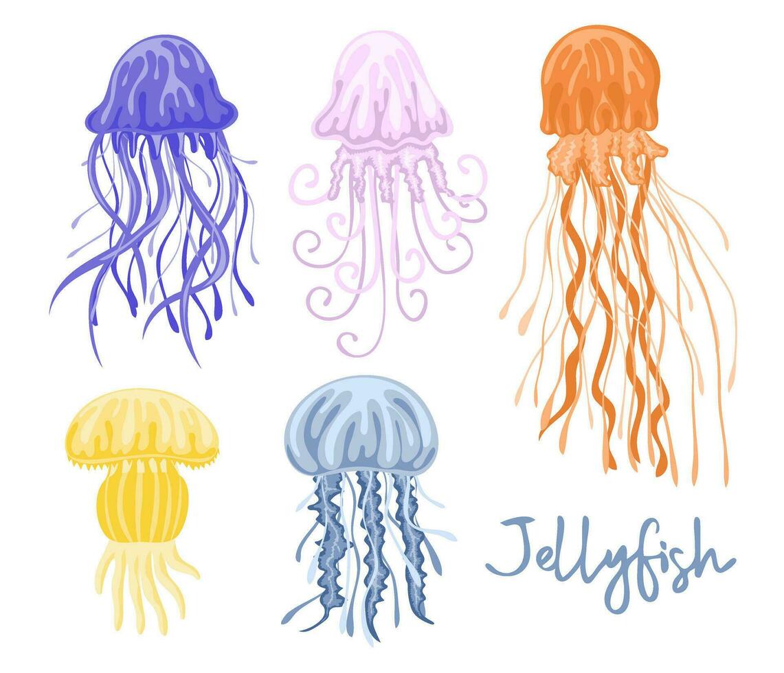 Set of colorful jellyfishes. Marine dwellers vector