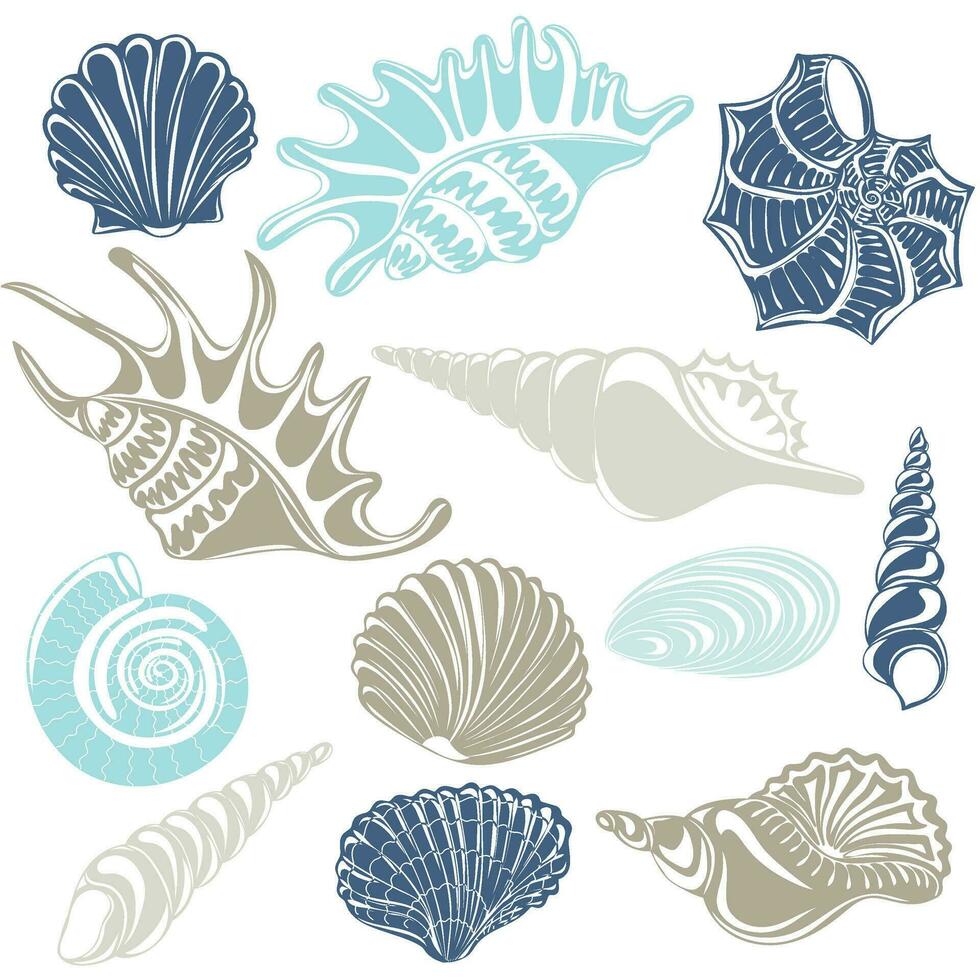 Set of different seashells silhouettes. Marine dwellers. vector