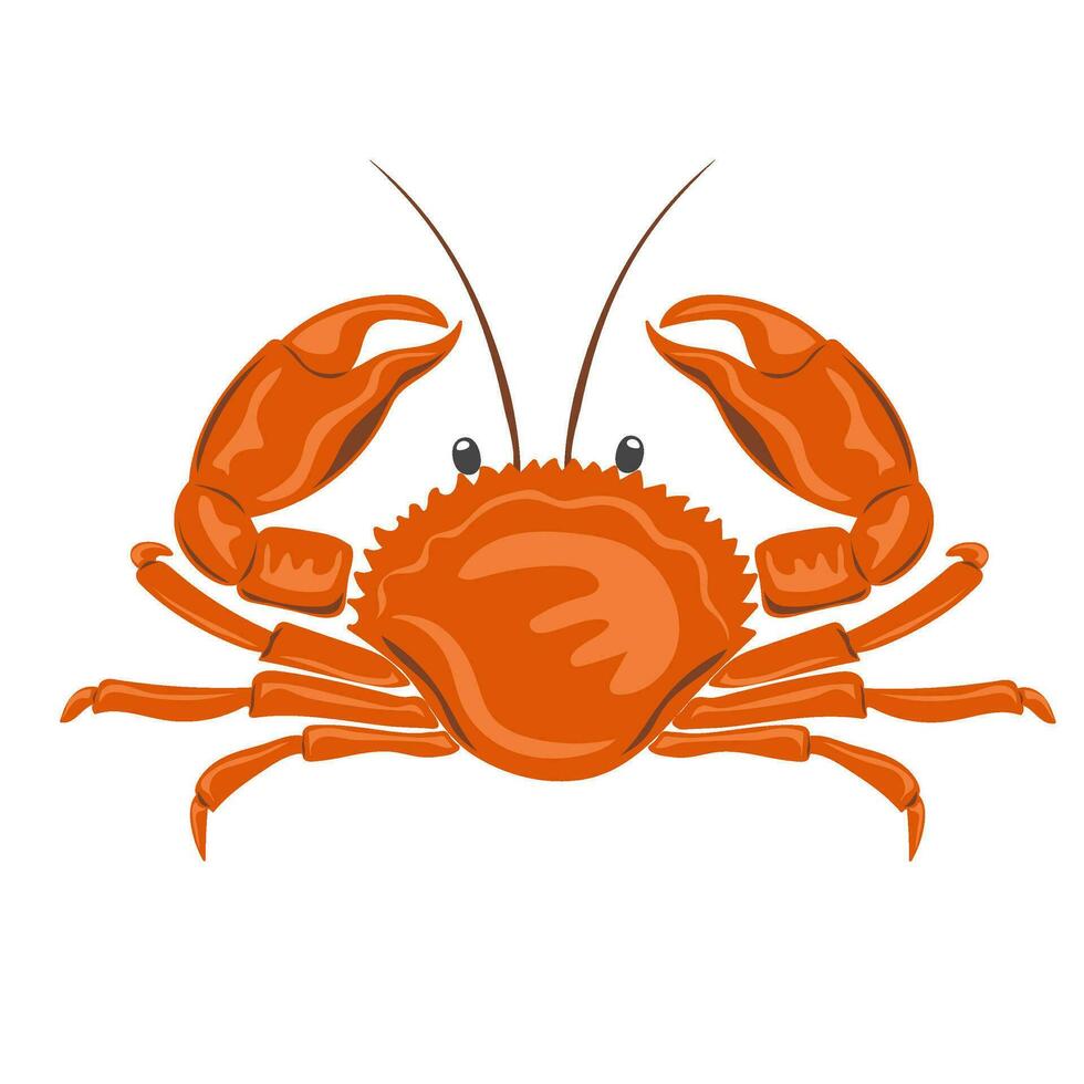 Crab. Marine dweller. Concept of sea and ocean life vector