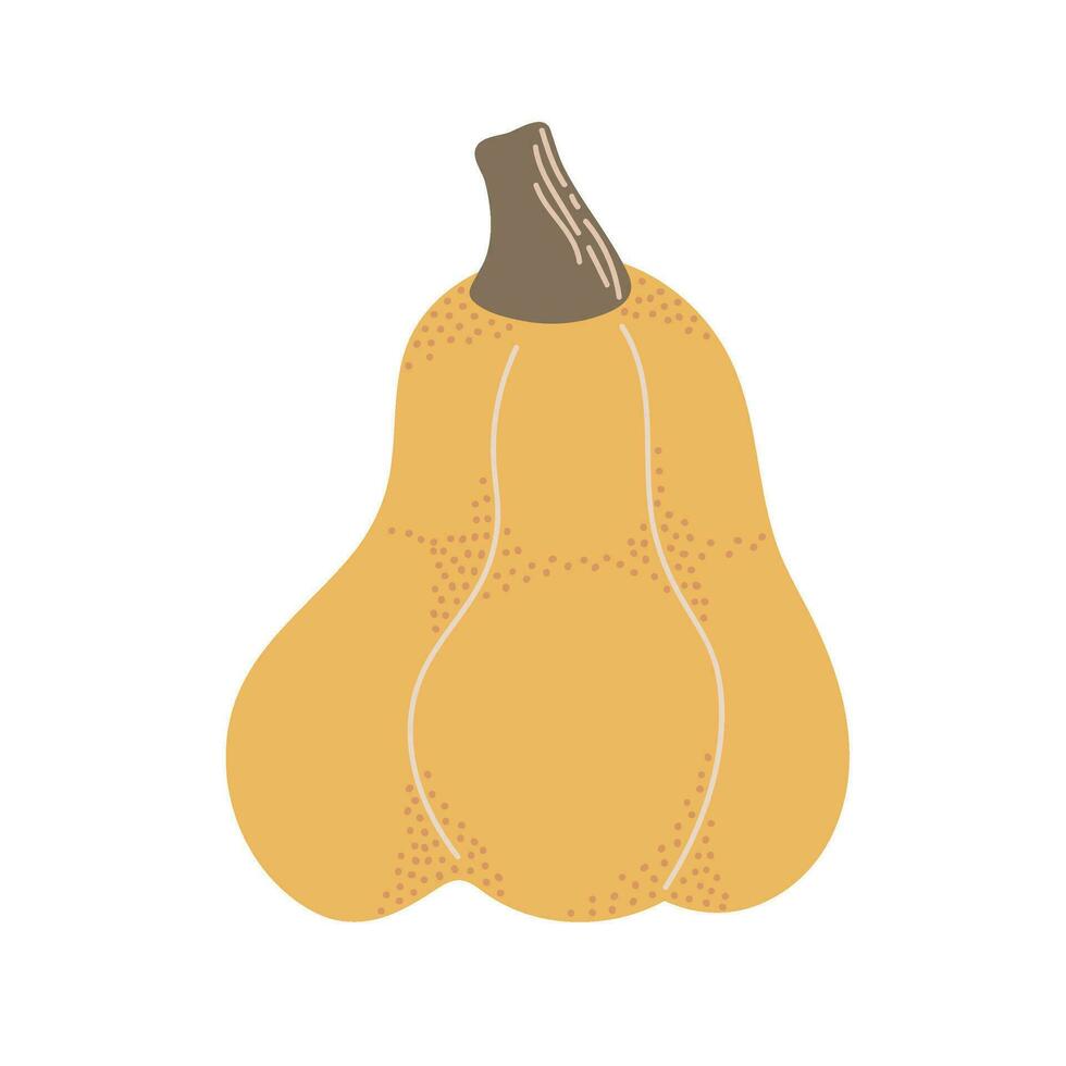 calabaza. acción de gracias y Víspera de Todos los Santos elementos para otoño decorativo diseño, Víspera de Todos los Santos invitación, cosecha vector