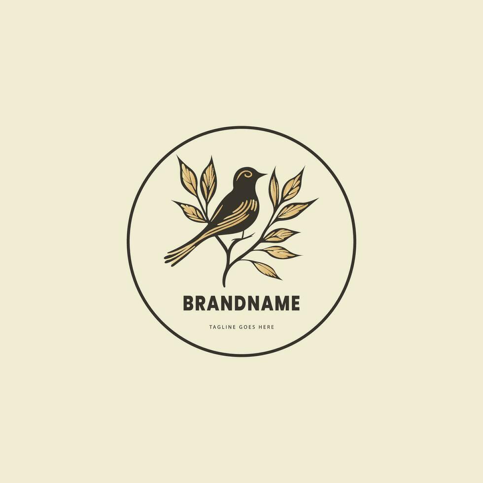 vector bird logo design