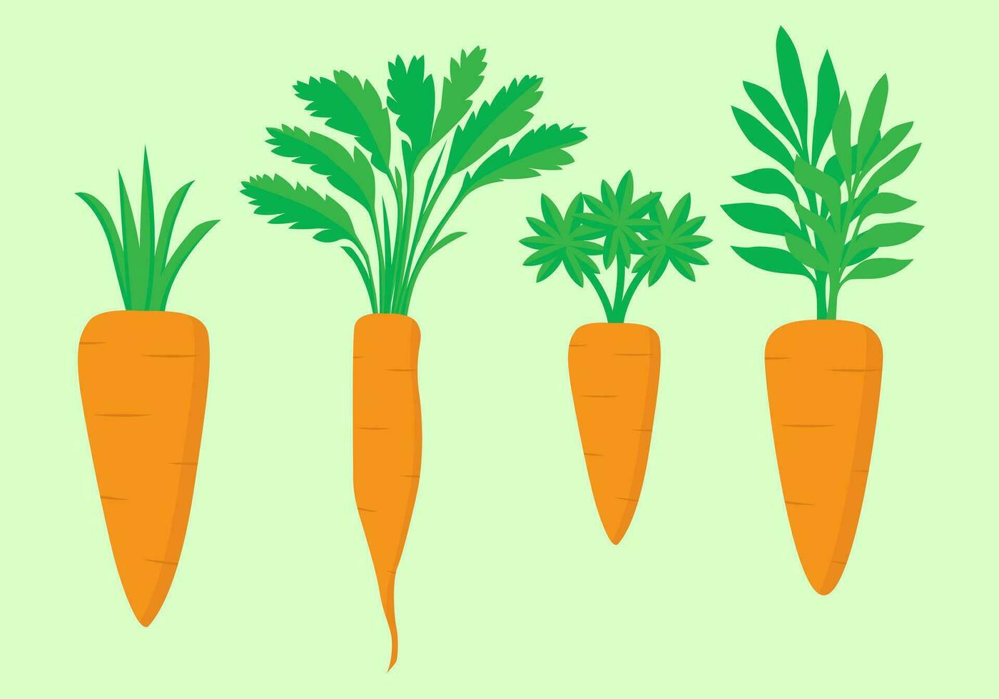 carrot and leaves icon vector illustration set, flat design