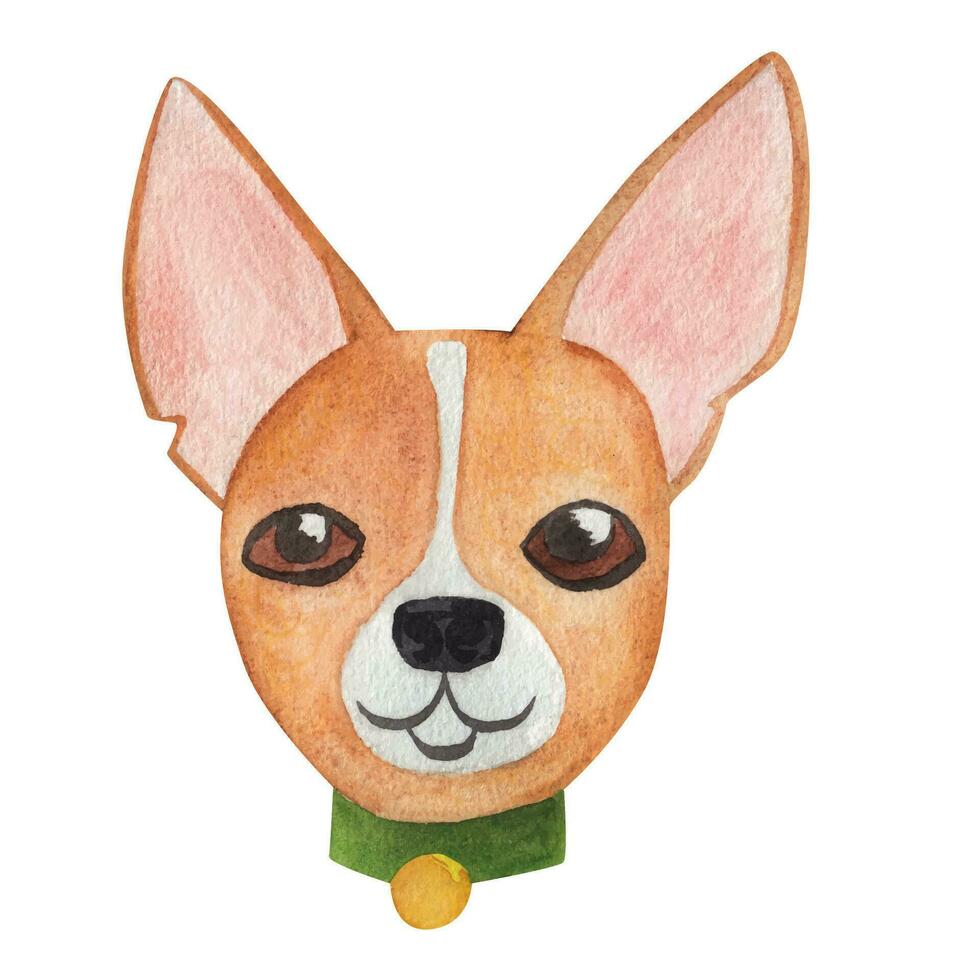 Chihuahua face or head. Muzzle of funny animal isolated on white background. Watercolor illustration in cartoon style vector
