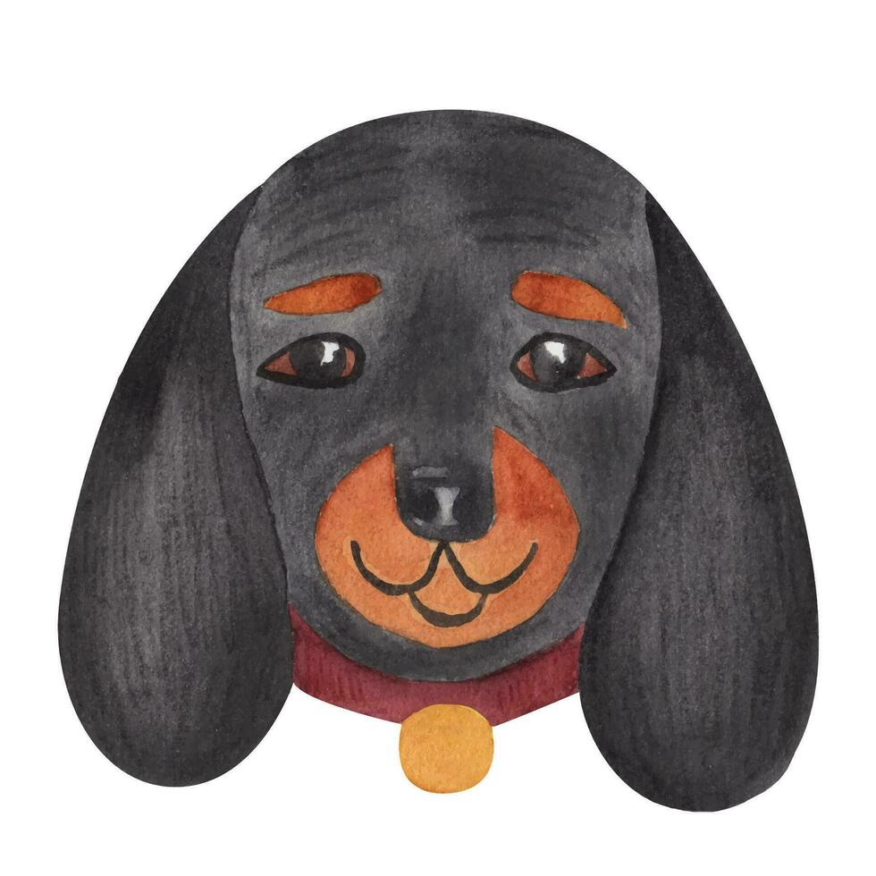 el cara o cabeza de un perro tejonero. bozal de gracioso animal aislado en blanco antecedentes. acuarela ilustración en dibujos animados estilo vector