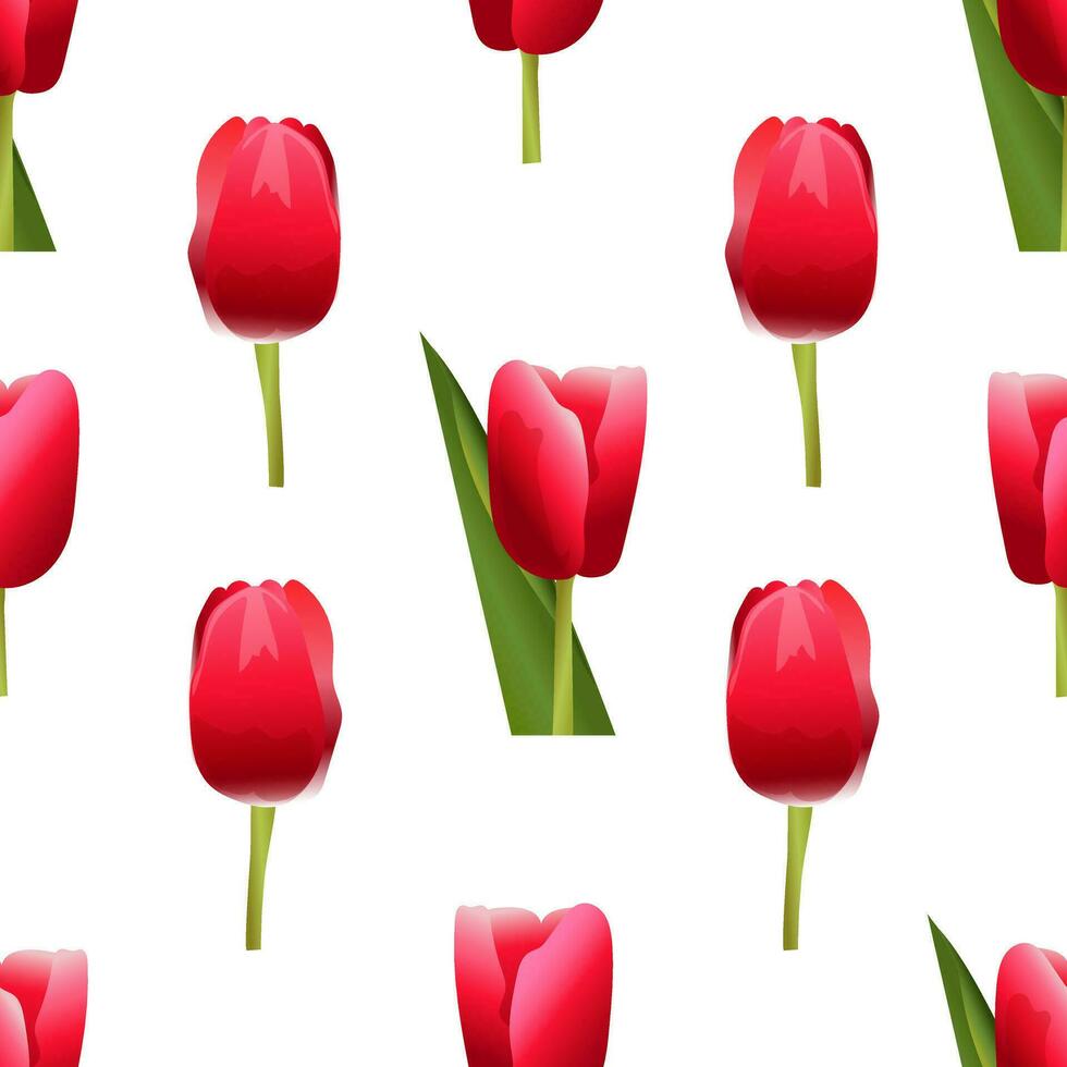 Red tulips on a white background. Floral seamless pattern for textile. Spring romantic flowers. Vector. vector