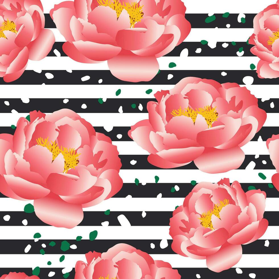 Pink peonies. Beautiful flowers make a botanical seamless pattern with striped black and white background for modern textile. Vector. vector