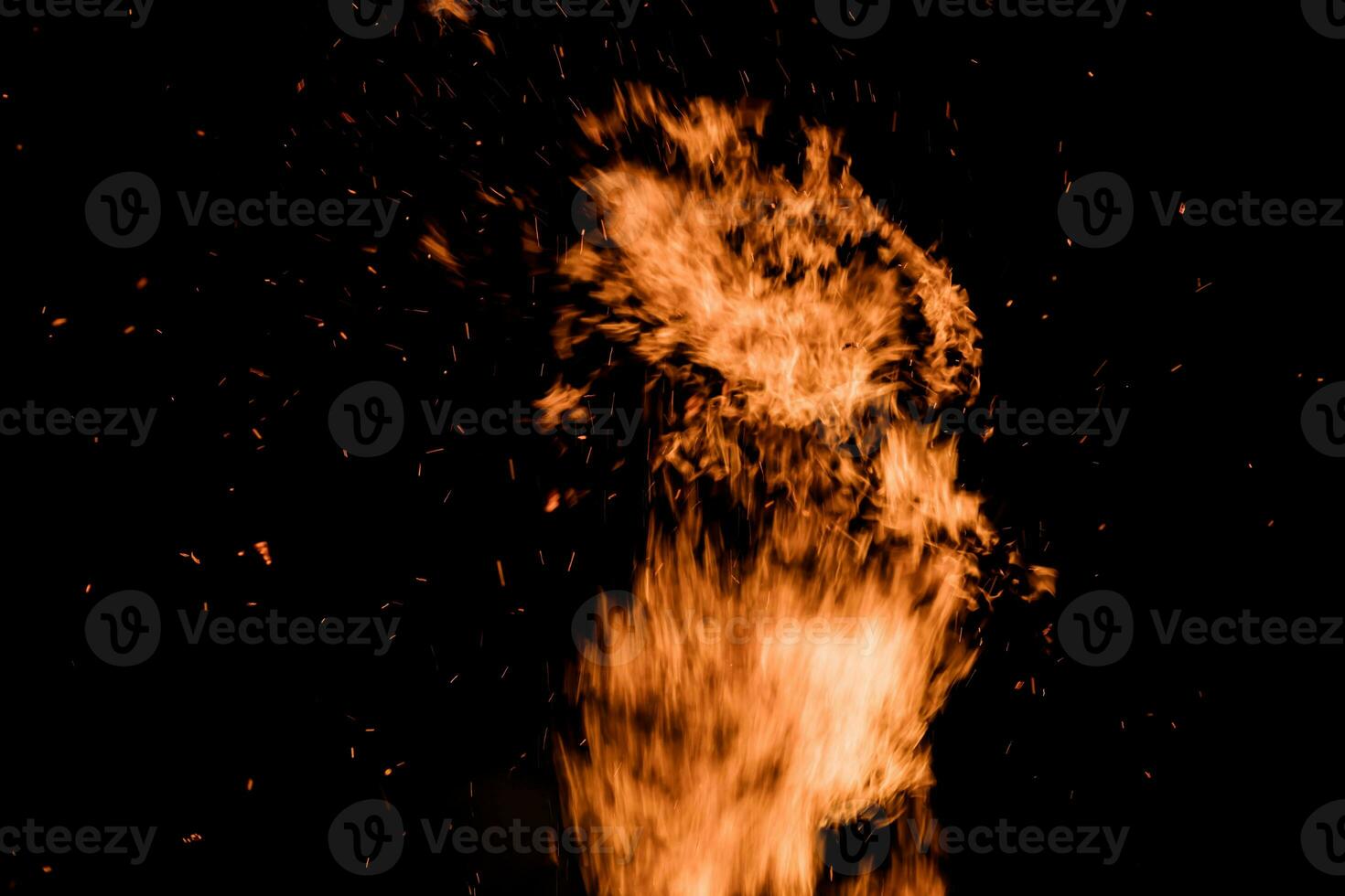 fire in nature photo